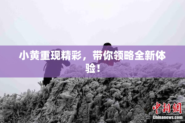 小黄重现精彩，带你领略全新体验！