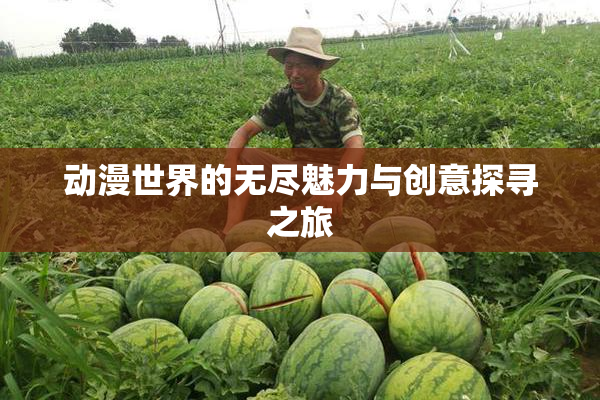 动漫世界的无尽魅力与创意探寻之旅