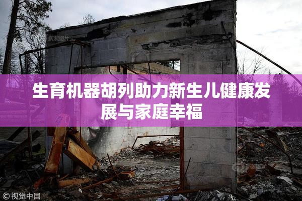 生育机器胡列助力新生儿健康发展与家庭幸福