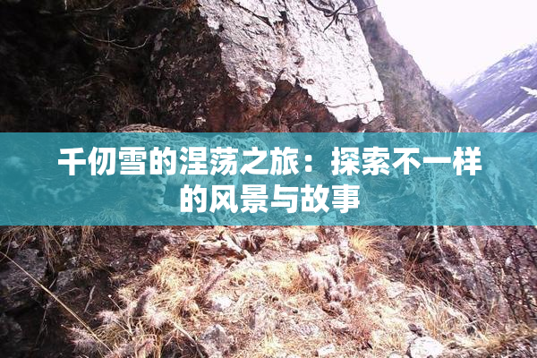 千仞雪的涅荡之旅：探索不一样的风景与故事