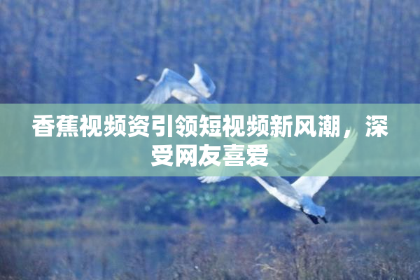 香蕉视频资引领短视频新风潮，深受网友喜爱