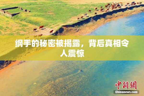 纲手的秘密被揭露，背后真相令人震惊