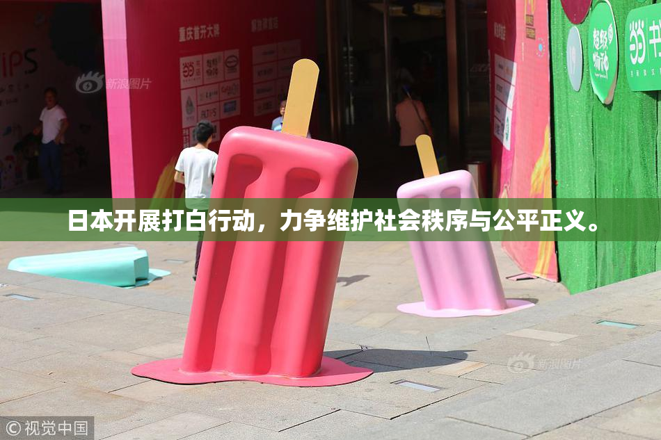 日本开展打白行动，力争维护社会秩序与公平正义。