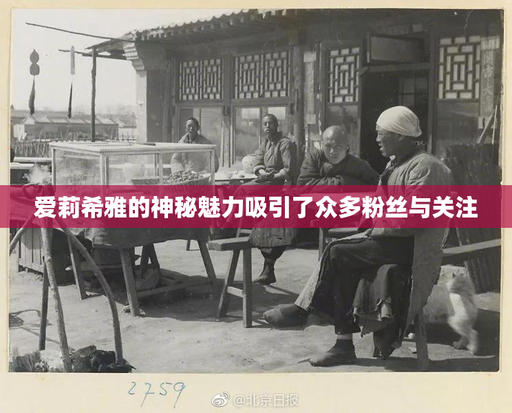 爱莉希雅的神秘魅力吸引了众多粉丝与关注