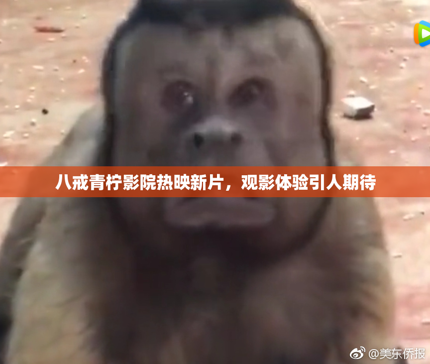 八戒青柠影院热映新片，观影体验引人期待