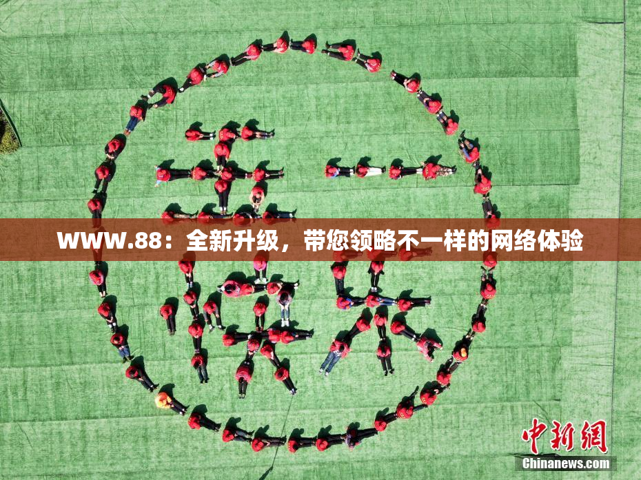 WWW.88：全新升级，带您领略不一样的网络体验
