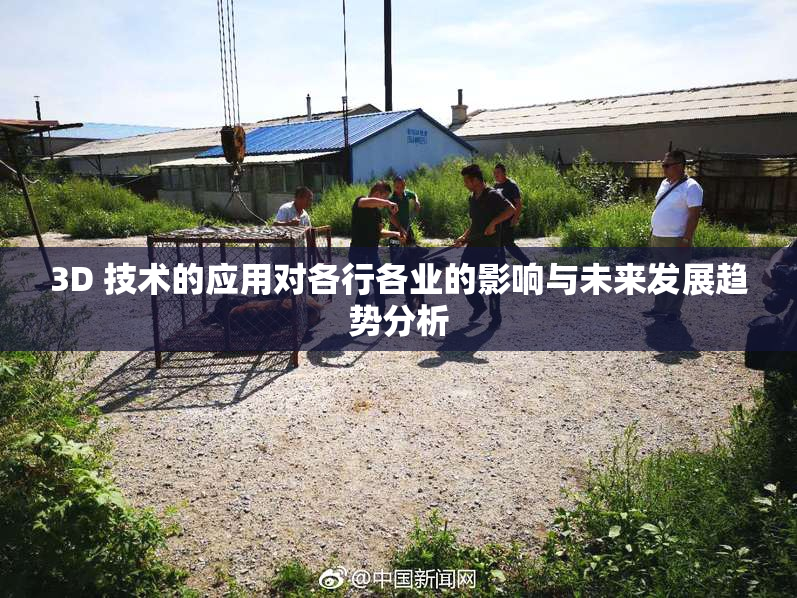 3D 技术的应用对各行各业的影响与未来发展趋势分析