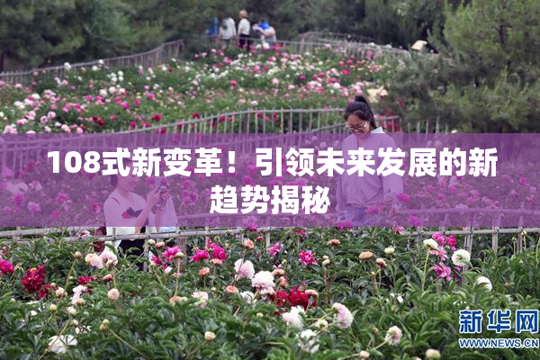 108式新变革！引领未来发展的新趋势揭秘