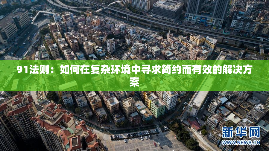 91法则：如何在复杂环境中寻求简约而有效的解决方案