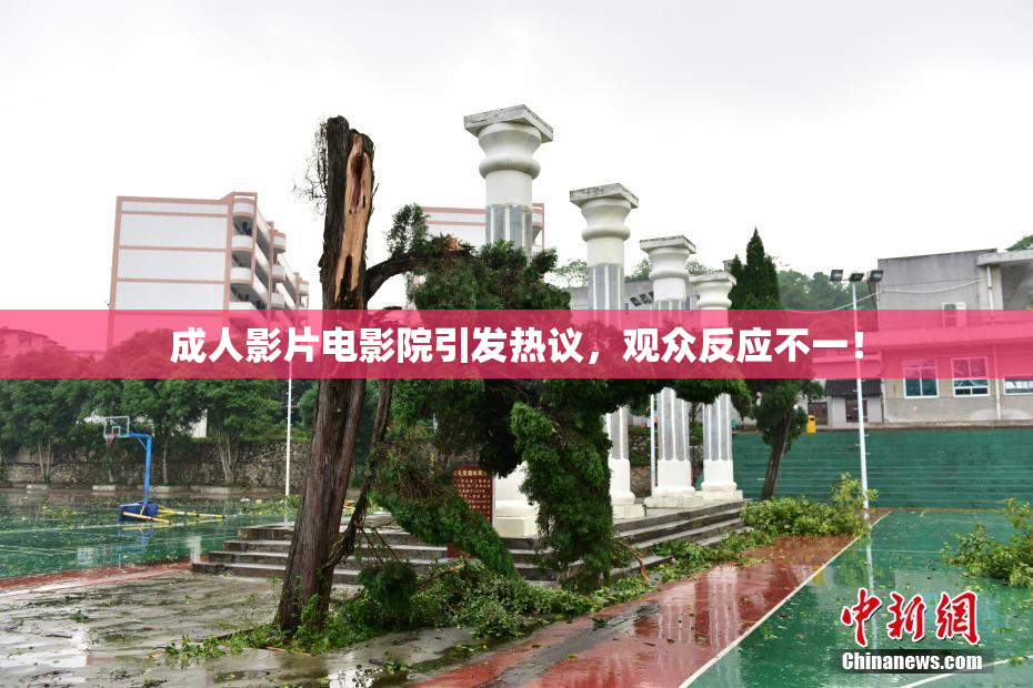 成人影片电影院引发热议，观众反应不一！