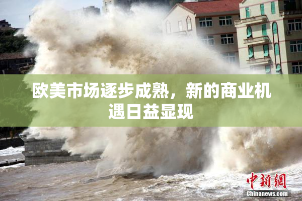 欧美市场逐步成熟，新的商业机遇日益显现