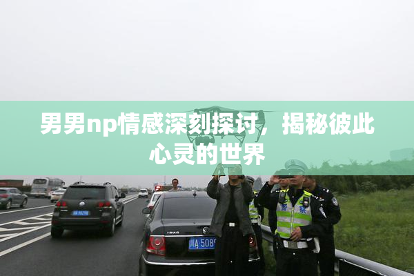 男男np情感深刻探讨，揭秘彼此心灵的世界