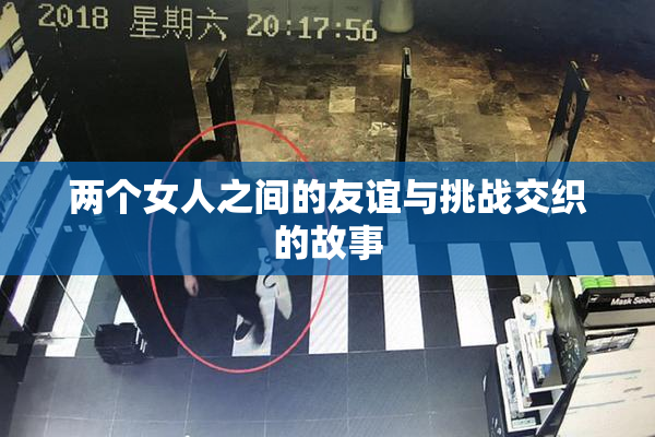 两个女人之间的友谊与挑战交织的故事
