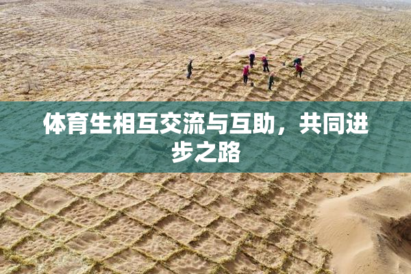 体育生相互交流与互助，共同进步之路