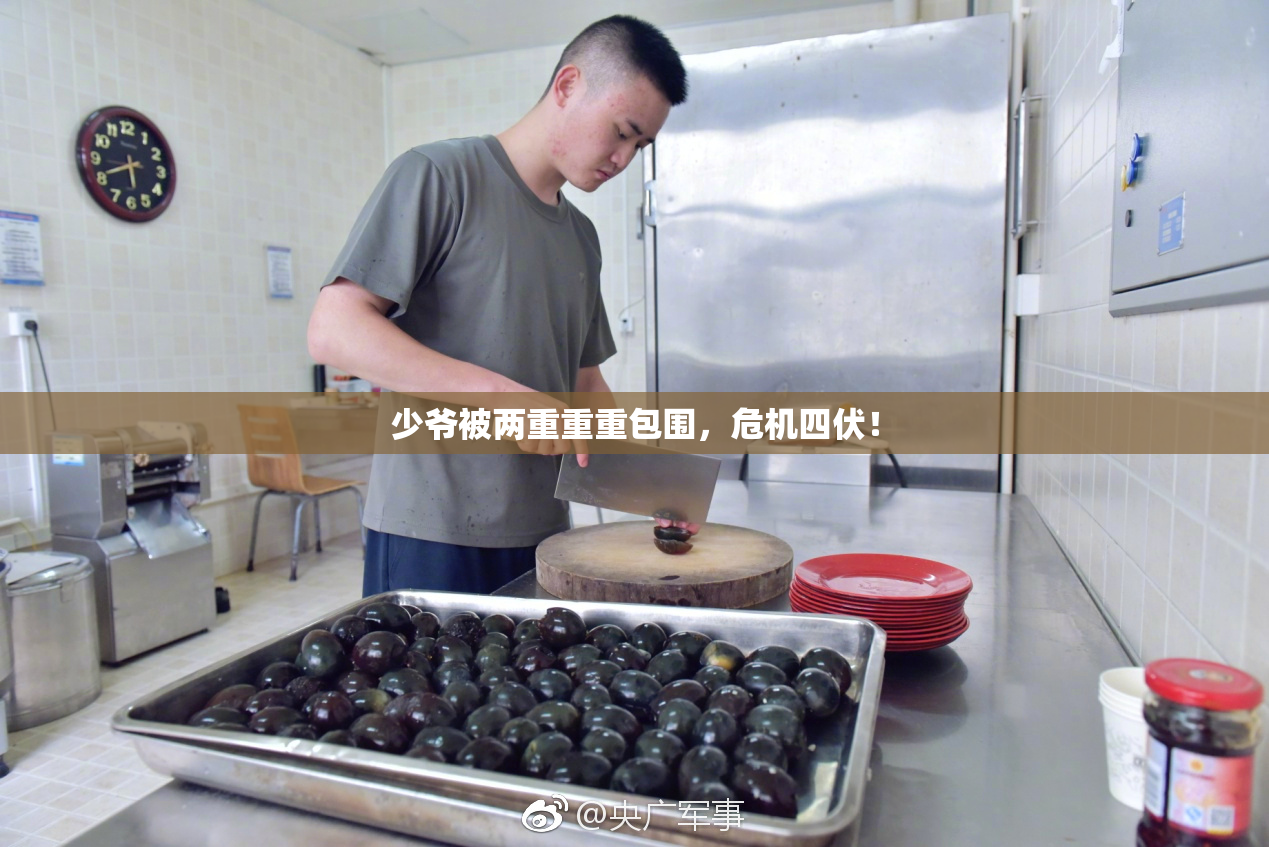 少爷被两重重重包围，危机四伏！