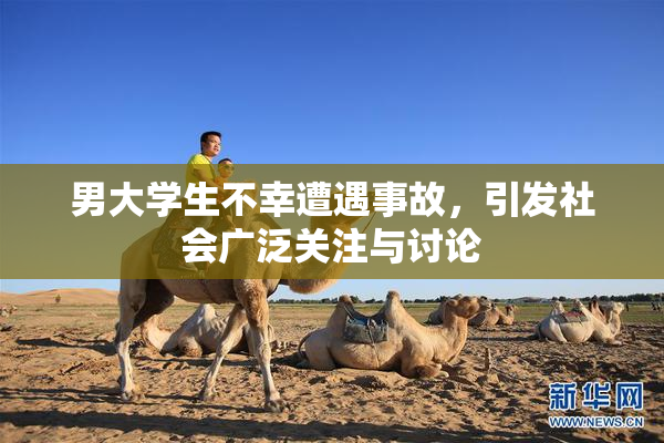 男大学生不幸遭遇事故，引发社会广泛关注与讨论