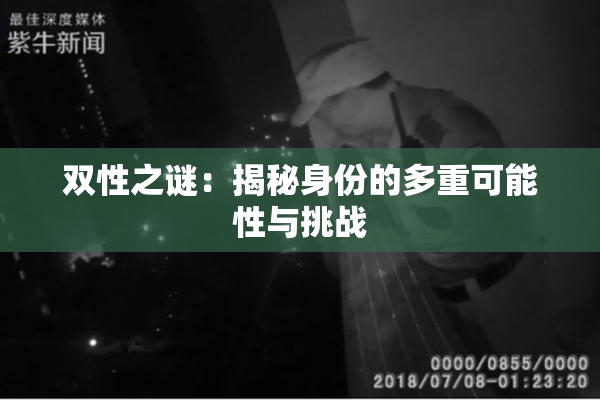 双性之谜：揭秘身份的多重可能性与挑战