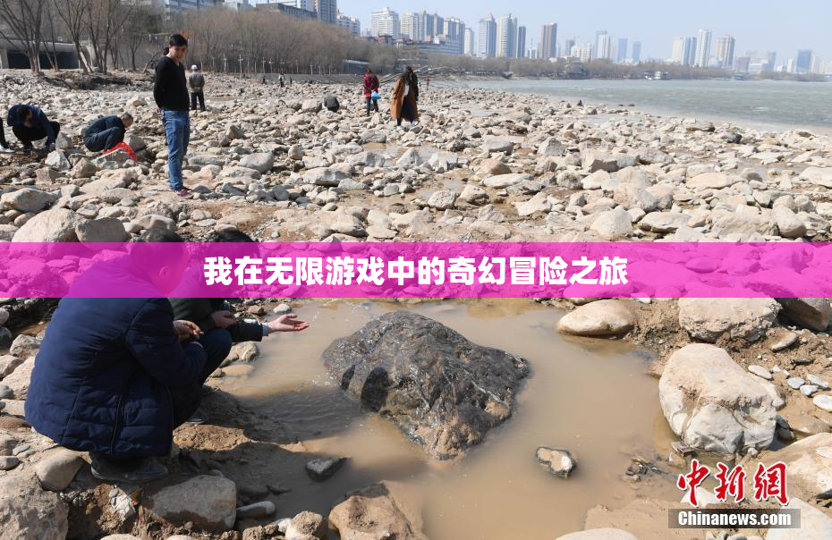 我在无限游戏中的奇幻冒险之旅