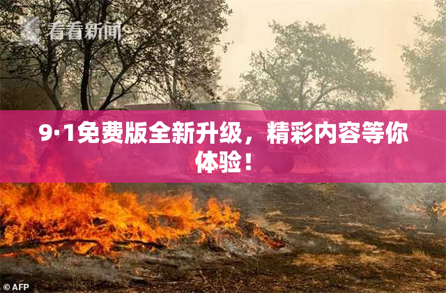 9·1免费版全新升级，精彩内容等你体验！