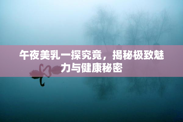 午夜美乳一探究竟，揭秘极致魅力与健康秘密