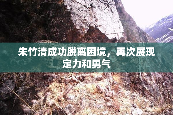 朱竹清成功脱离困境，再次展现定力和勇气