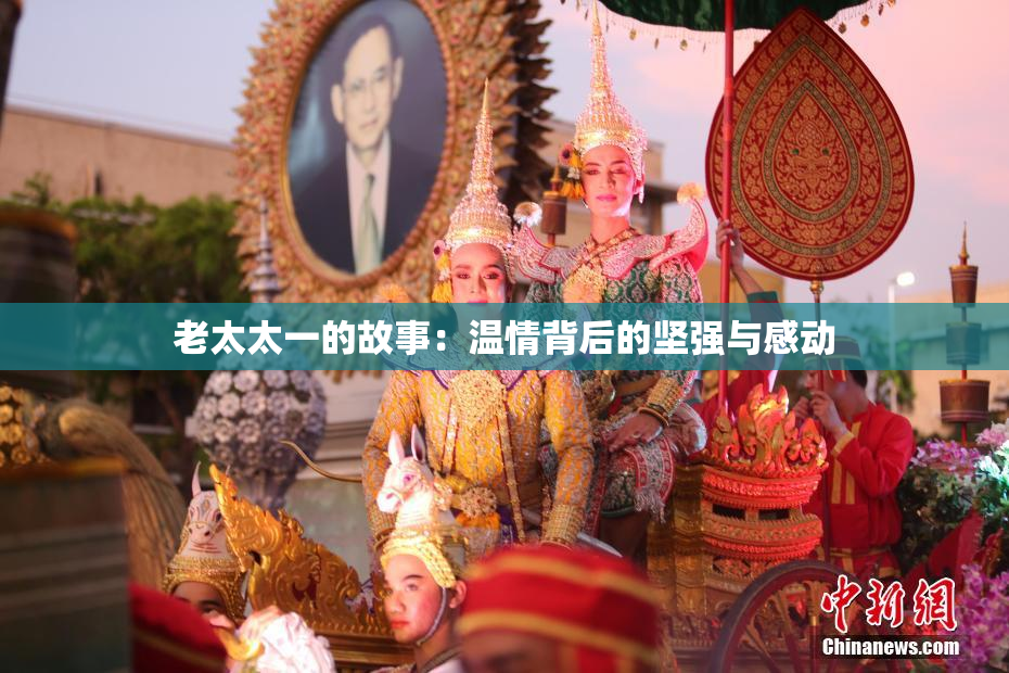 老太太一的故事：温情背后的坚强与感动