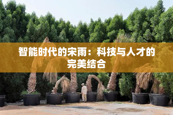 智能时代的宋雨：科技与人才的完美结合