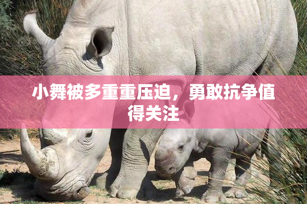 小舞被多重重压迫，勇敢抗争值得关注