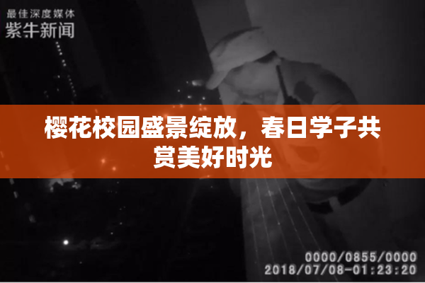 樱花校园盛景绽放，春日学子共赏美好时光