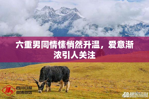 六重男同情愫悄然升温，爱意渐浓引人关注