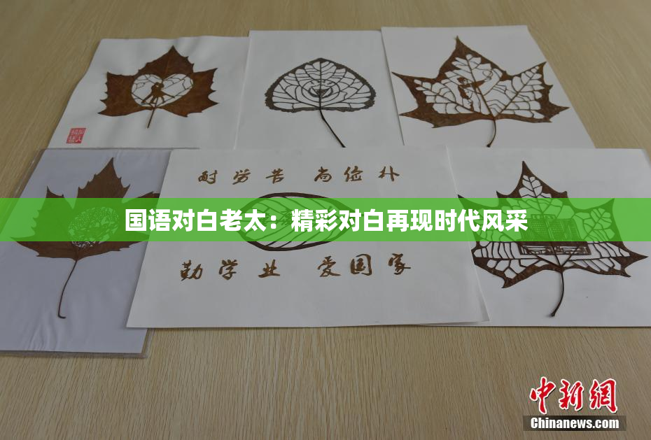 国语对白老太：精彩对白再现时代风采