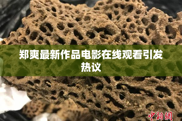 郑爽最新作品电影在线观看引发热议