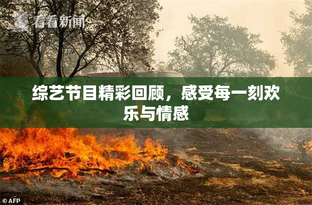 综艺节目精彩回顾，感受每一刻欢乐与情感