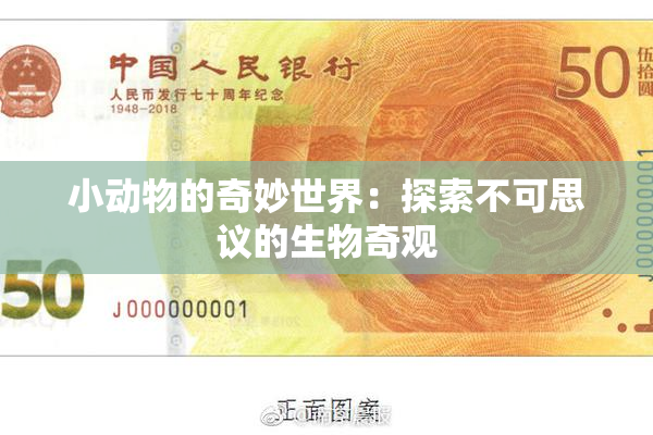 小动物的奇妙世界：探索不可思议的生物奇观