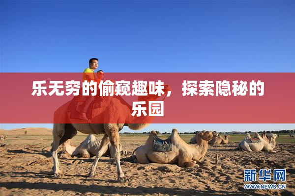 乐无穷的偷窥趣味，探索隐秘的乐园