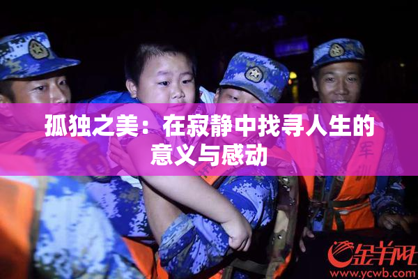 孤独之美：在寂静中找寻人生的意义与感动