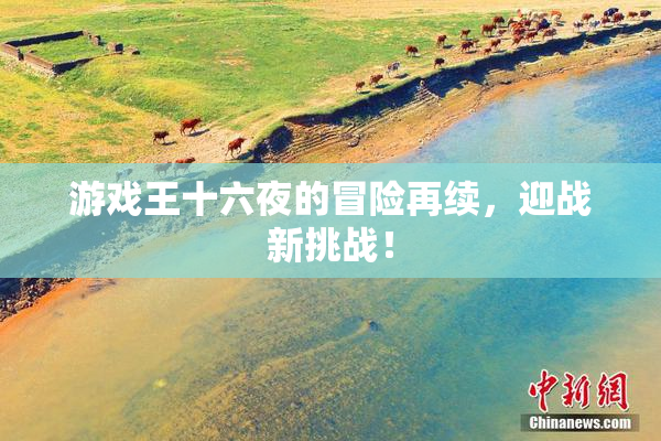 游戏王十六夜的冒险再续，迎战新挑战！