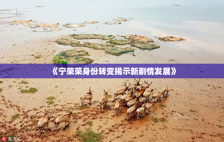 《宁荣荣身份转变揭示新剧情发展》