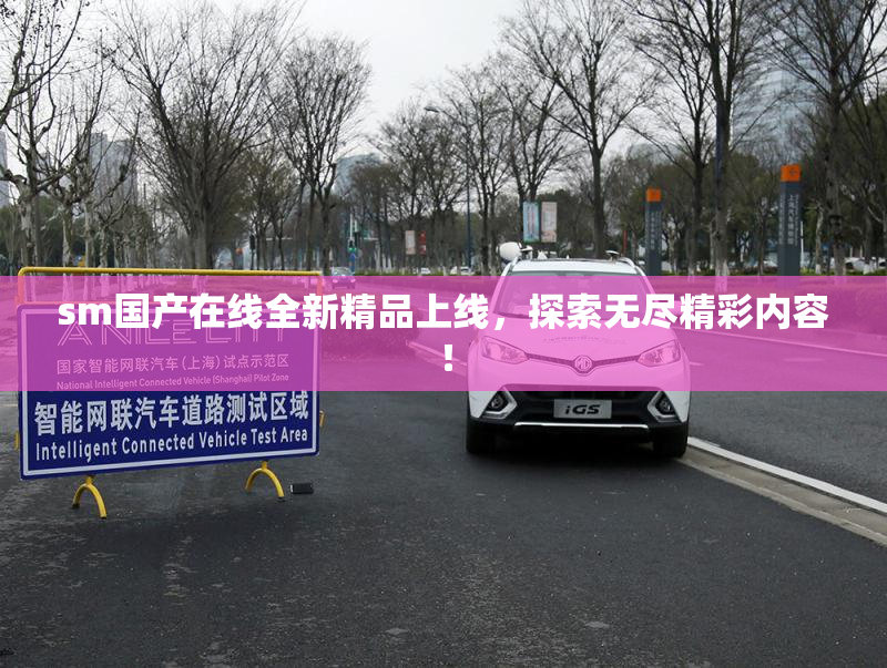 sm国产在线全新精品上线，探索无尽精彩内容！