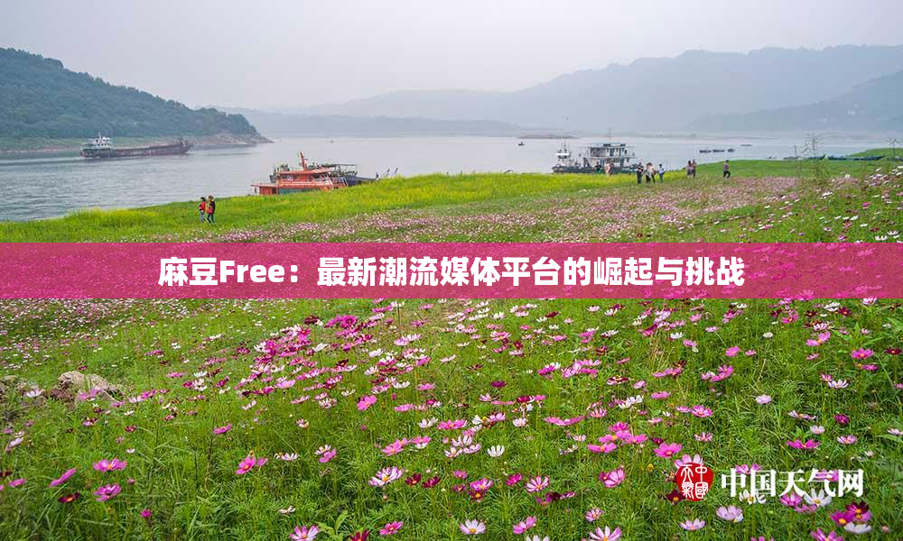 麻豆Free：最新潮流媒体平台的崛起与挑战