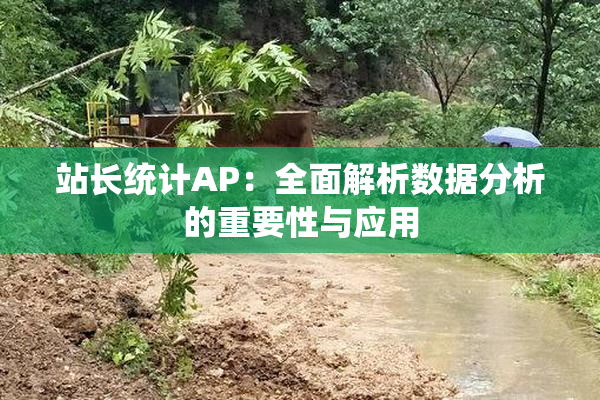 站长统计AP：全面解析数据分析的重要性与应用