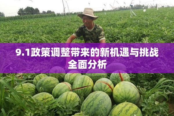 9.1政策调整带来的新机遇与挑战全面分析
