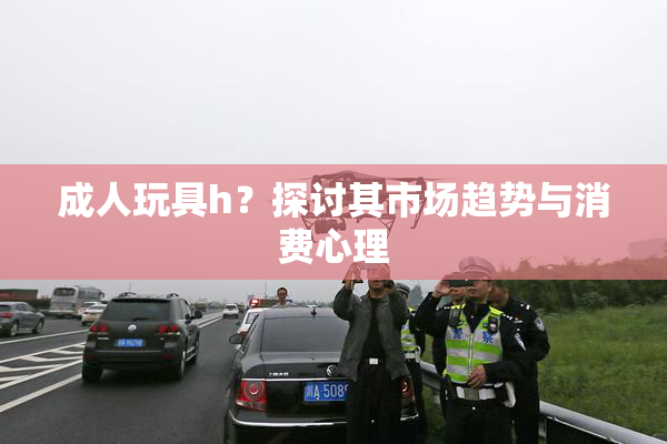 成人玩具h？探讨其市场趋势与消费心理