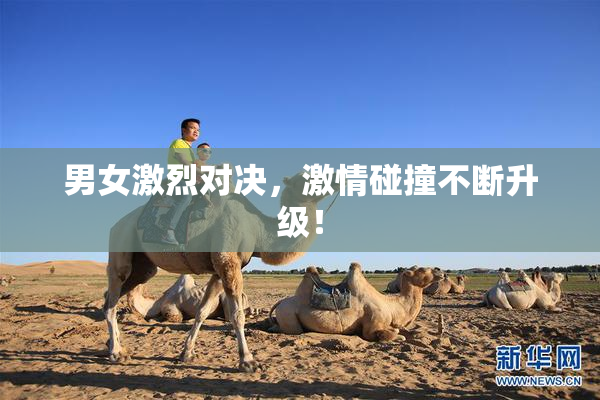 男女激烈对决，激情碰撞不断升级！