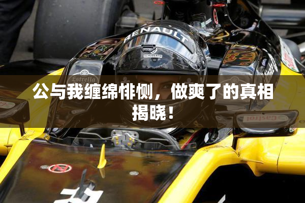 公与我缠绵悱恻，做爽了的真相揭晓！