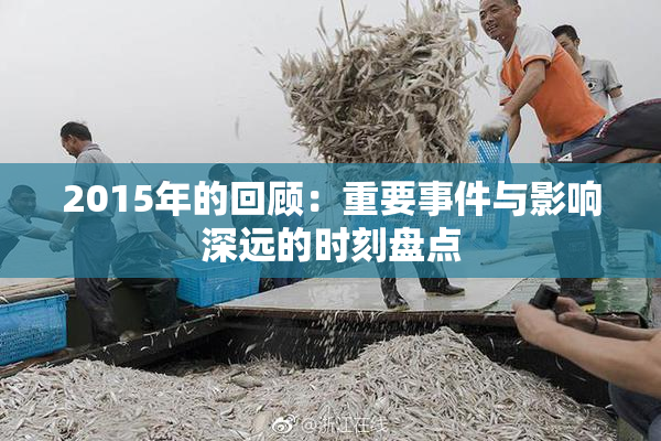 2015年的回顾：重要事件与影响深远的时刻盘点