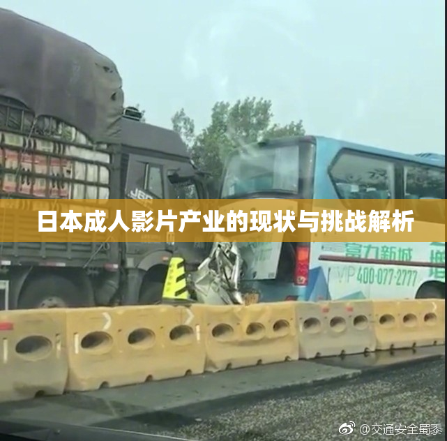 日本成人影片产业的现状与挑战解析