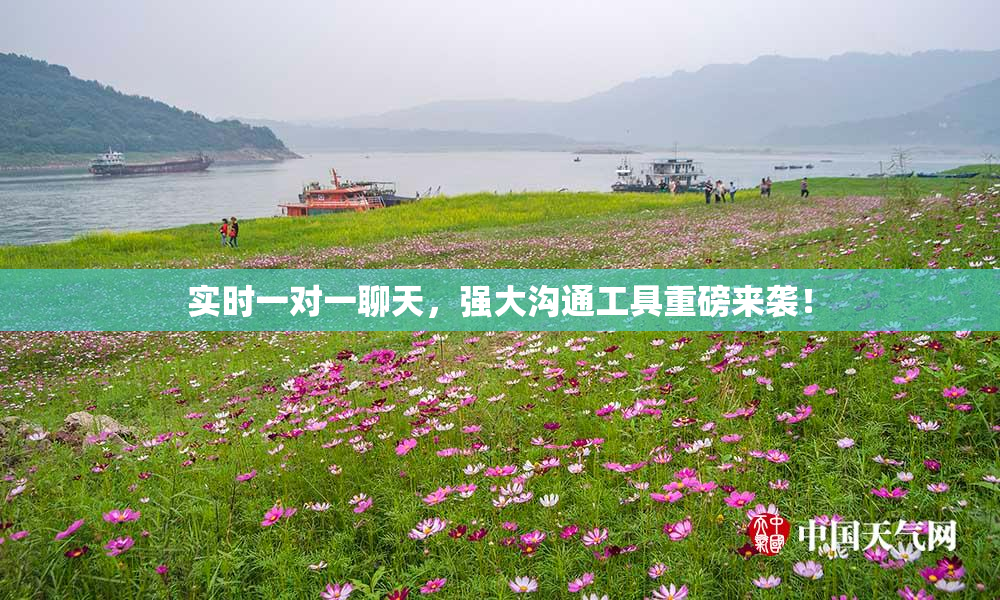 实时一对一聊天，强大沟通工具重磅来袭！