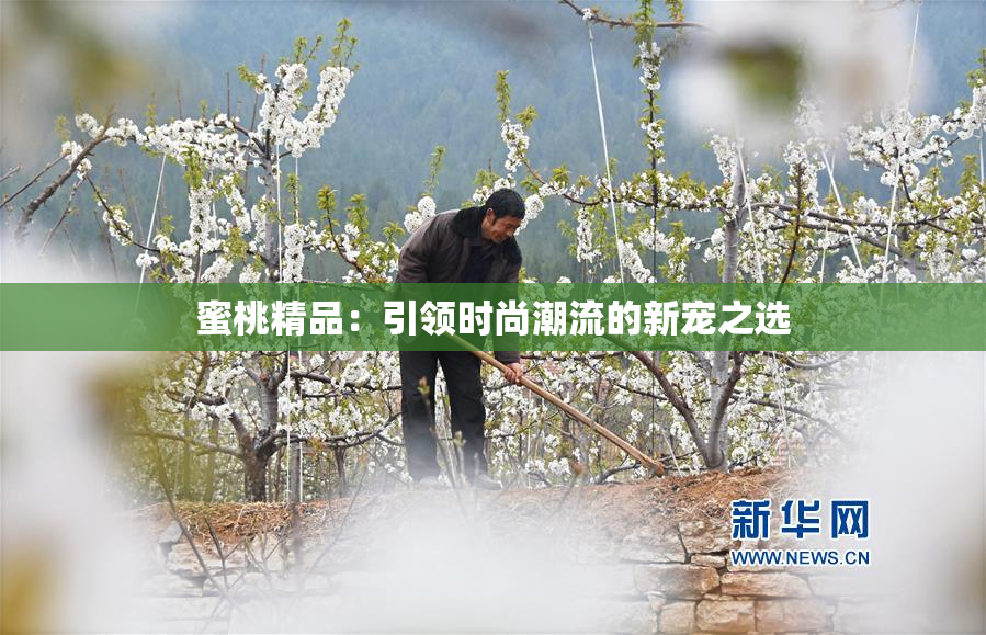蜜桃精品：引领时尚潮流的新宠之选