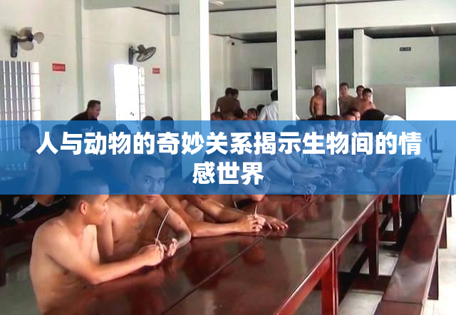 人与动物的奇妙关系揭示生物间的情感世界